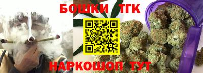 индика Аргун
