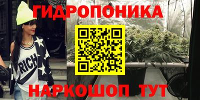 крисы Апшеронск
